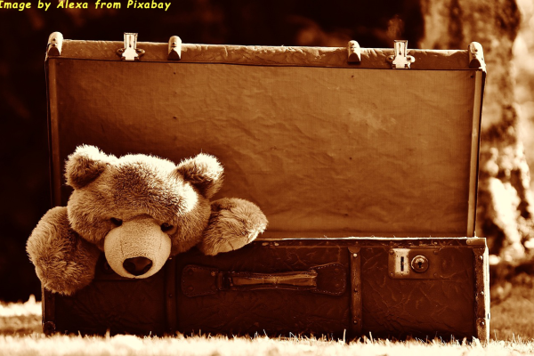 suitcase-1799207_1280.png