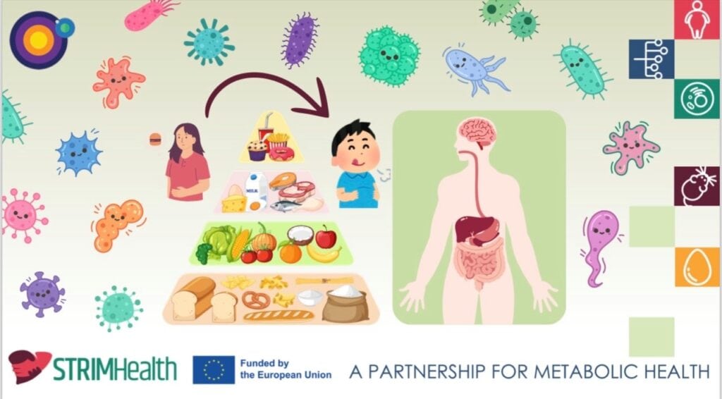 Metabolizam Noć Istraživača