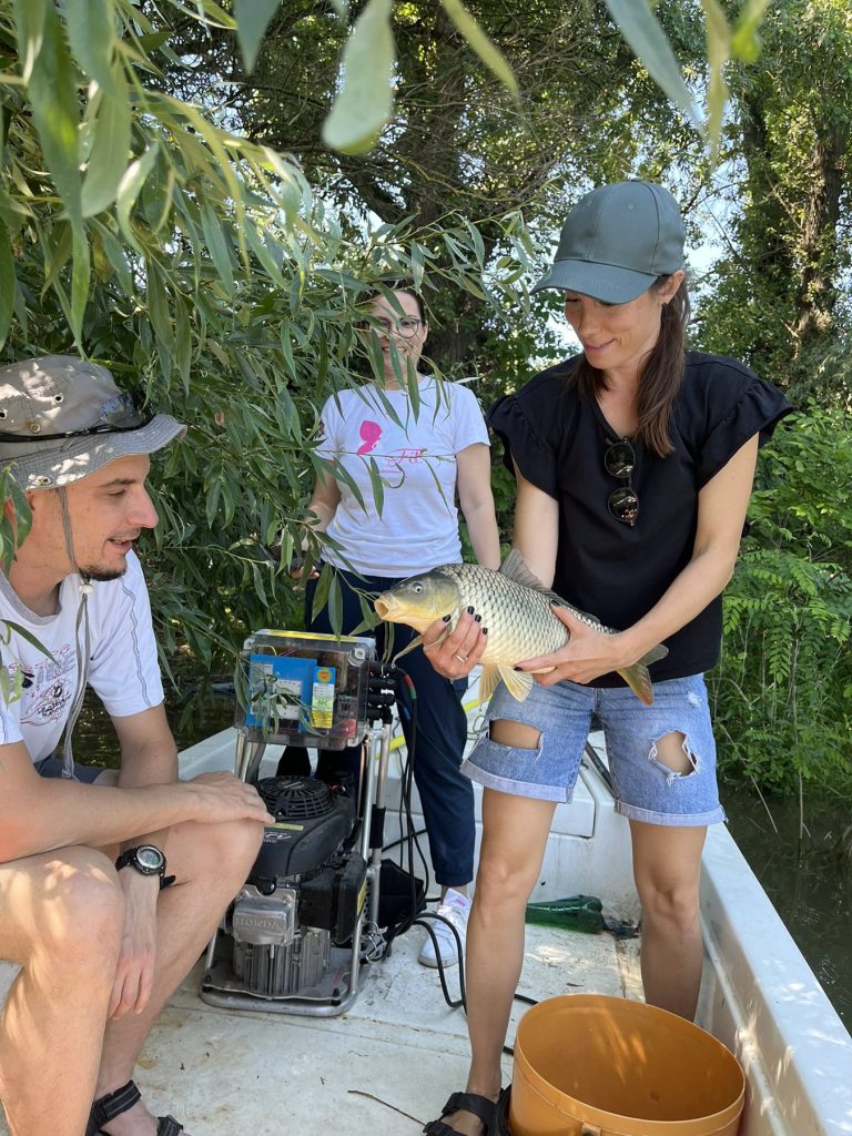 Fish 3 Indjija picture site Noć Istraživaca