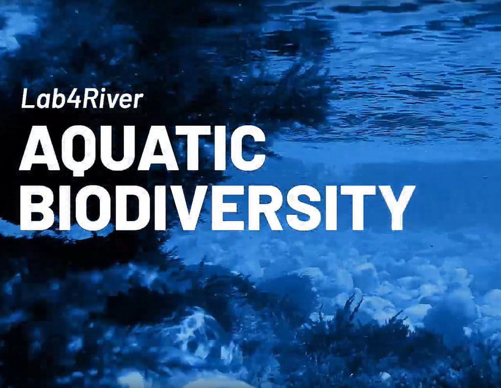 aquatic2 Noć Istraživača