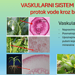 vask sistem biljaka Noć Istraživača