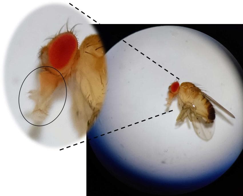 img 2efe52e6059f3965f2a52cad249d6b64 Noć Istraživača