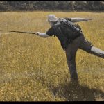 Milos jovic Noć Istraživača