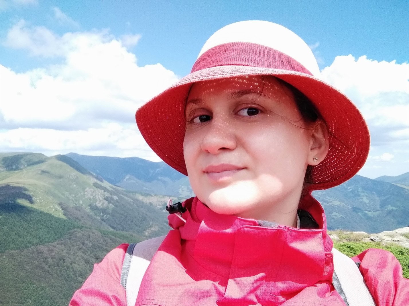 Dragana Jenačković Gocić