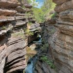 4d reke Noć Istraživača