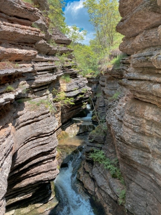 4d reke Noć Istraživača