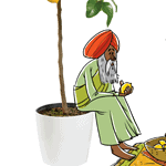 Limun lab Noć Istraživača