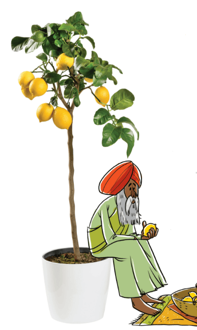 Limun lab Noć Istraživača