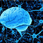 Kako vaš mozak radi 3 Screenshot 61 Noć Istraživača