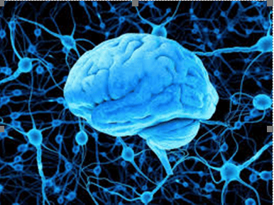 Screenshot 61 Noć Istraživača