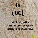 Wool is cool 1 Wool is cool