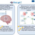 Svetlost Noć Istraživača