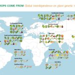 biljna mapa Noć Istraživača