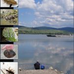 bioindikatori Noć Istraživača