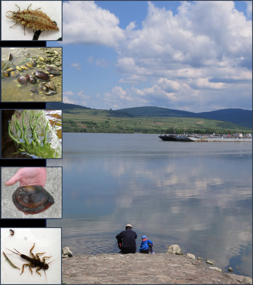 bioindikatori Noć Istraživača