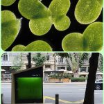 delta3 Noć Istraživača