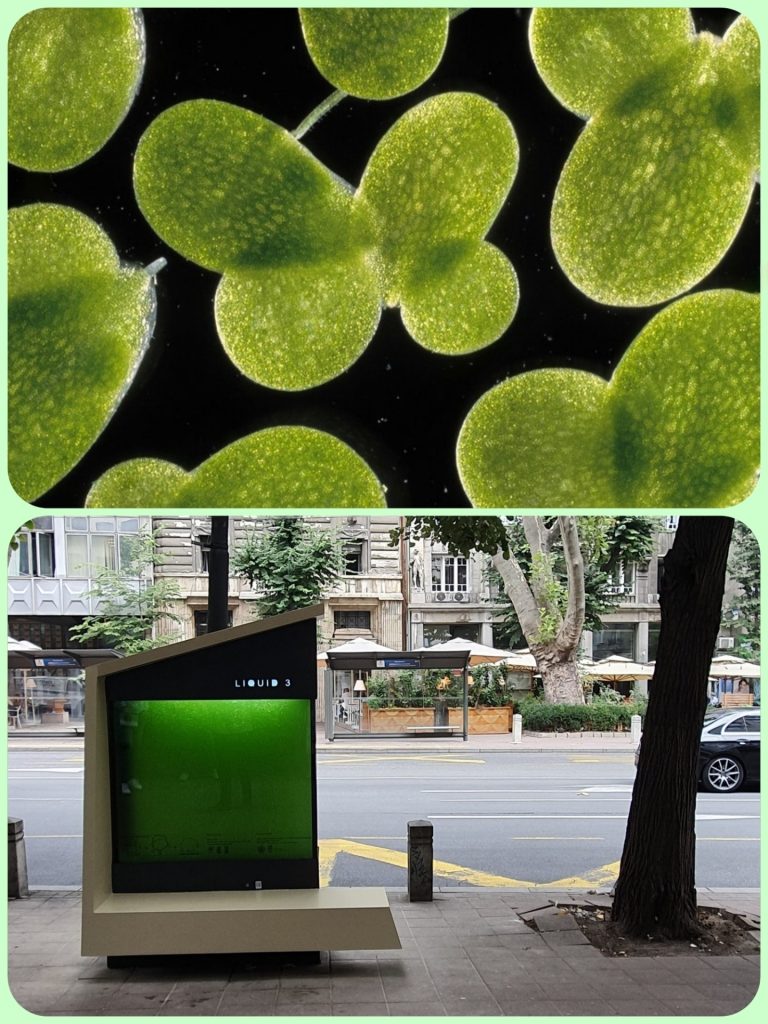 delta3 Noć Istraživača