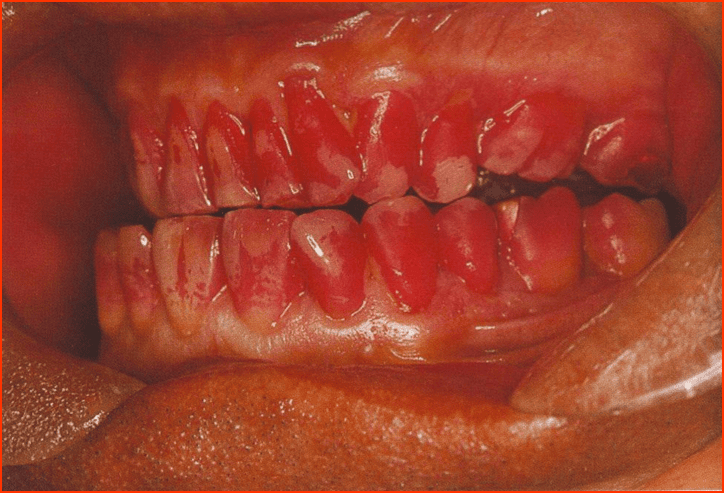 desni Noć Istraživača