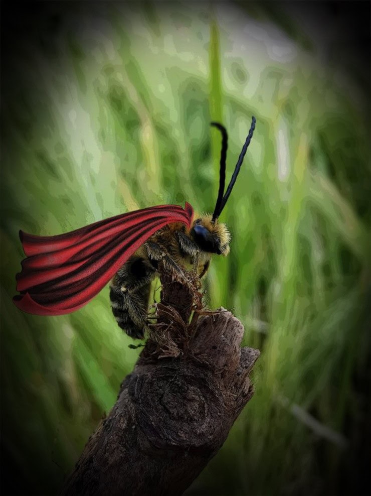 ose Noć Istraživača