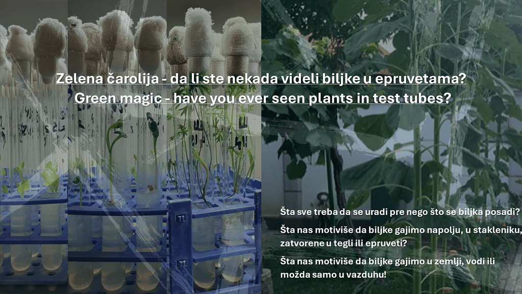 zelena car Noć Istraživača