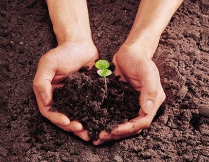 zemlja u balansu Noć Istraživača